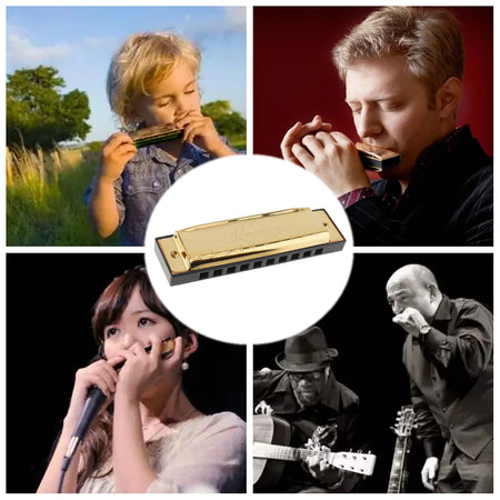 Professional Blues Harmonica 10 Hole 20 Tone &ndash; For Beginners