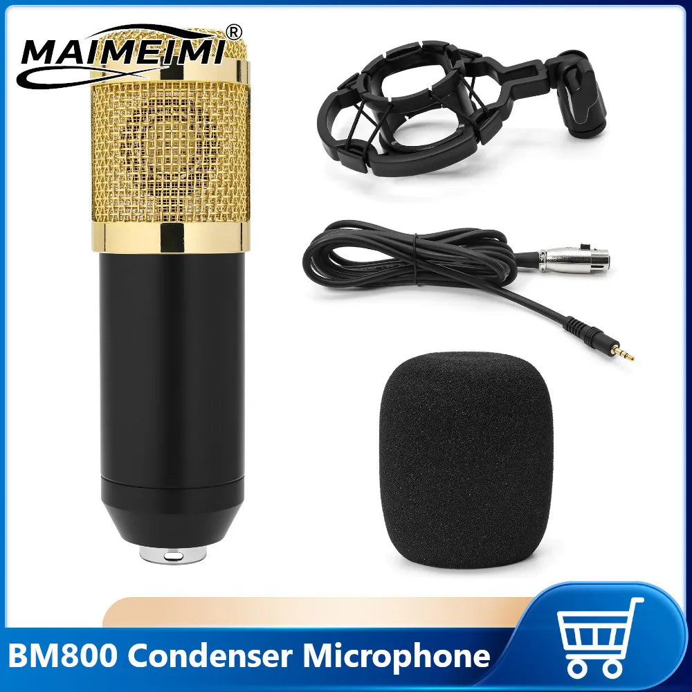 BM 800 Studio Condenser Microphone