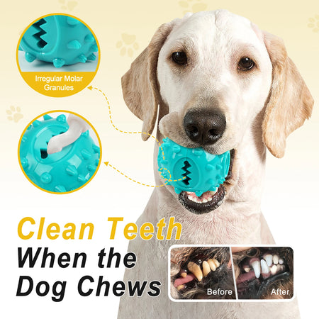 Coolplay Dog Chew Toys &ndash; Interactive Teeth Grinding and Food Dispensing
