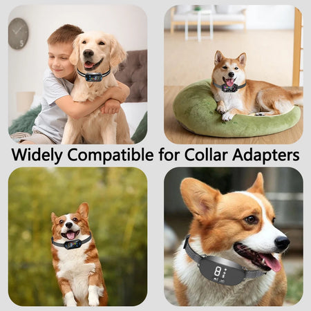 Adjustable Waterproof Shock Collar Receiver for Dog Training