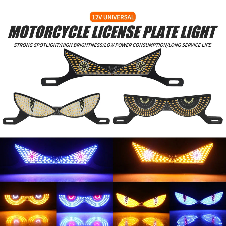 Motorcycle License Plate Light &ndash; Dual Color Flashing Strobe Signal