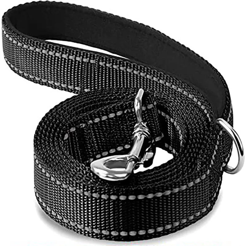 Durable Night Reflective Pet Leash and Harness for Dogs