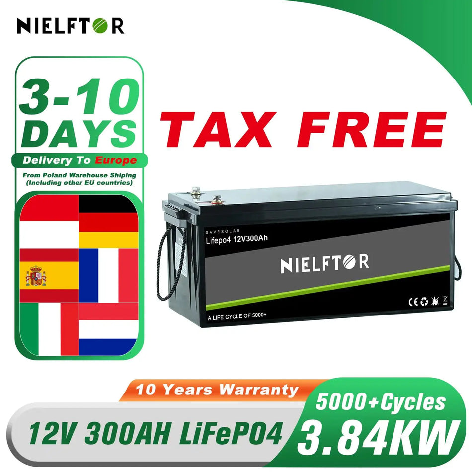 Batteria LiFePO4 12V 24V 48V 100Ah 200Ah 300Ah con BMS integrato per energia solare camper barca senza tasse