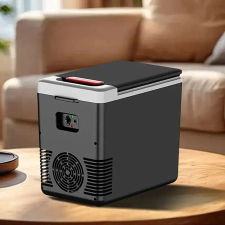 Balashov 10L Car Home Mini Refrigerator 12V 220V Freezer