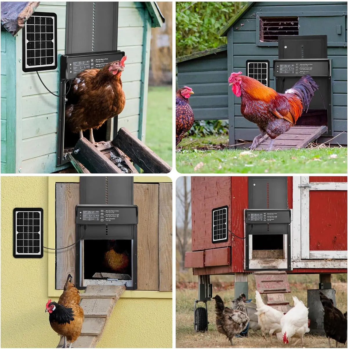Solar Auto Chicken Coop Door &ndash; Solar Powered USB Charging