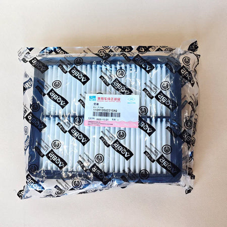 Cabin Air Filter With Pleated Media For JAC JS3 S3 T5 A30 J4 R3 Compatible With 8126100U8510 by InterCyprus Trading Ltd