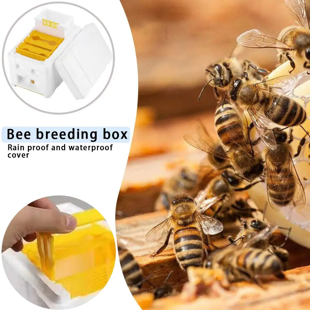 Queen Bee Rearing Beehive Box Foam &ndash; Lightweight Build