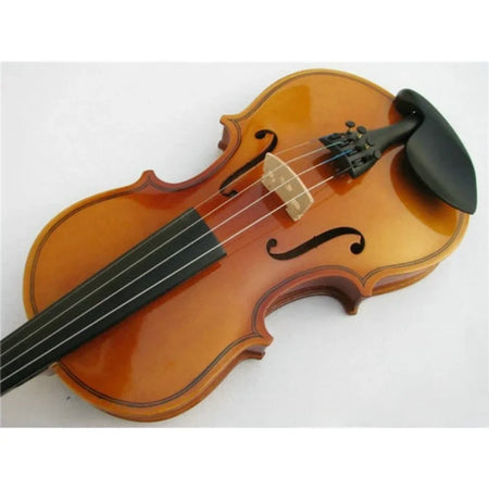 XTQ1245 Violin &ndash; Beginner Friendly Solid Wood For Students
