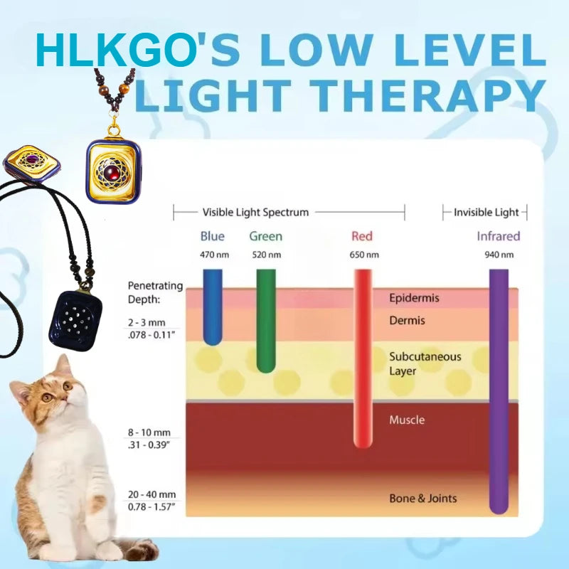 Huisdier LLLT Koude Laser Pijnverlichting Pen Rood Licht Dierenarts Goedgekeurd