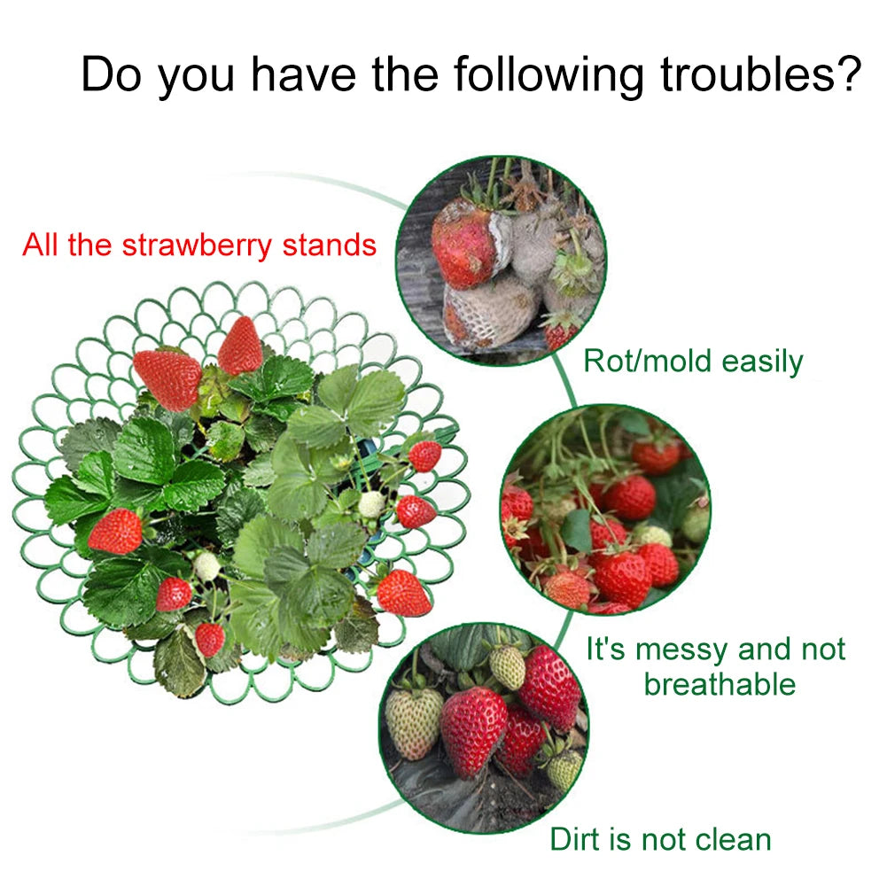 Sturdy 5PCS Strawberry Supports for Optimal Plant Growth