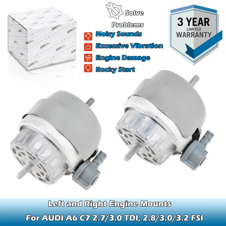 Dzinēja stiprinājumi pārslēdzamie hidromontāžas Audi A6 C7 2.7/3.0 TDI 2.8/3.0/3.2 FSI variantiem