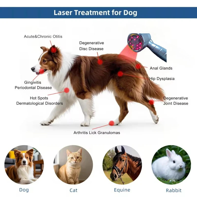 Laser a freddo di grado medico 16 diodi doppia onda 808nm 650nm