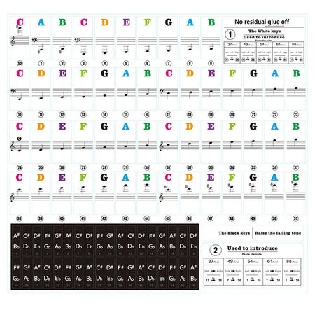 Transparent Piano Keyboard Sticker 88 Keys &ndash; Detachable Multicolor  1 piece