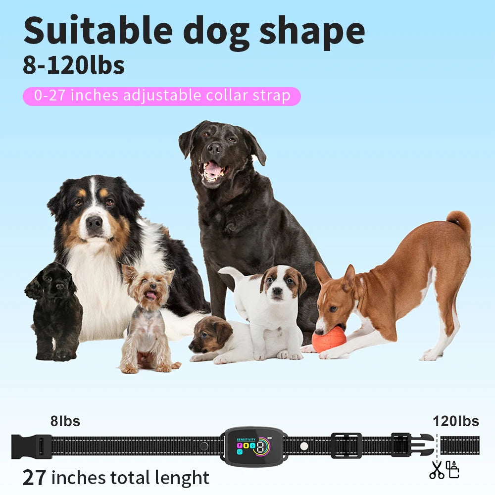 Automatic Dog Training Collar &ndash; Waterproof Type C Charging