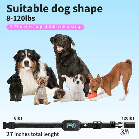 Automatic Dog Training Collar &ndash; Waterproof Type C Charging