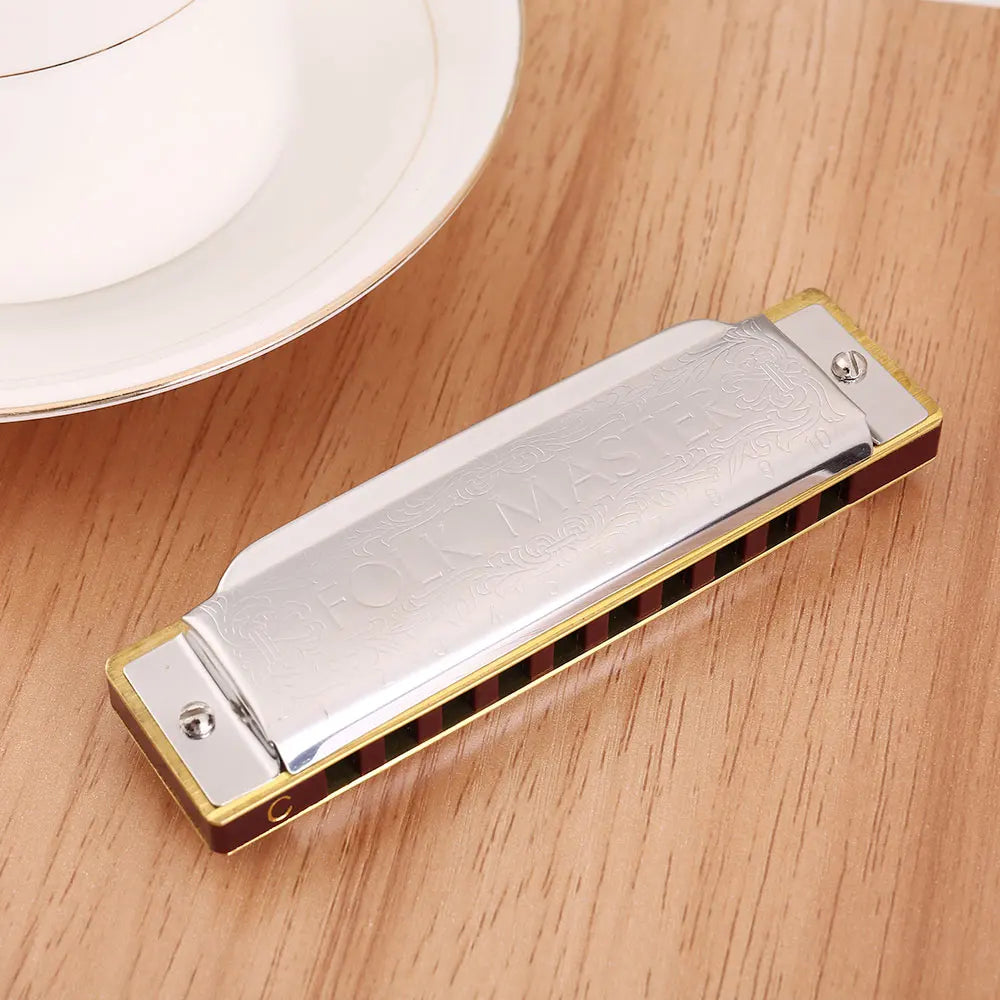 Harmonica Blues Mouth Harp &ndash; Diatonic Ten Hole Design