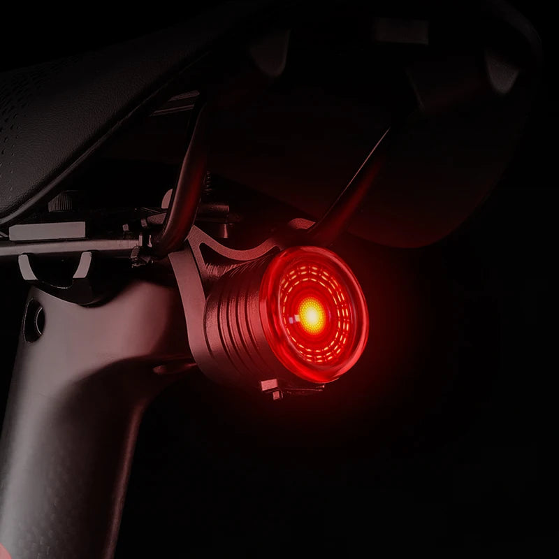 WEST BIKING Smart Brake Sensing Bike Tail Light with Type-C Charging