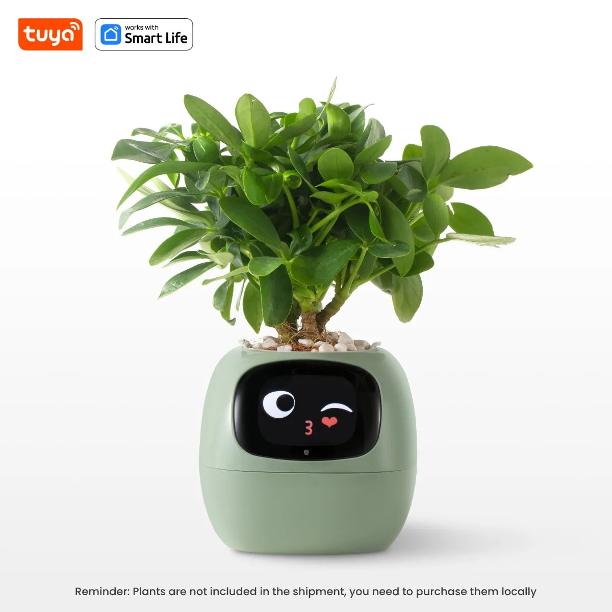Tuya Ivy Smart Planter with AI, 49 Expressions &amp; 7 Sensors LightGreen