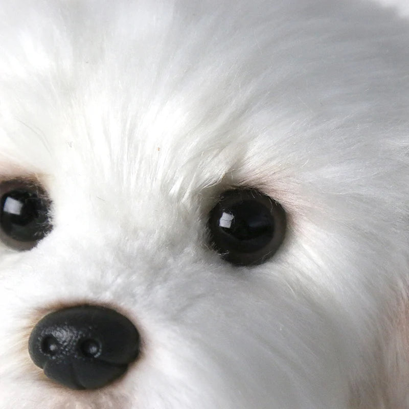 Miss Bloom Plush Maltese Stuffed Dog Doll