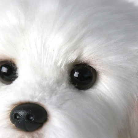 Miss Bloom Plush Maltese Stuffed Dog Doll