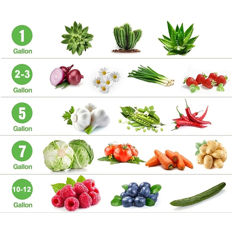 Vegetable Grow Bags 1-12 Gal Nonwoven With Handles &ndash; Durable