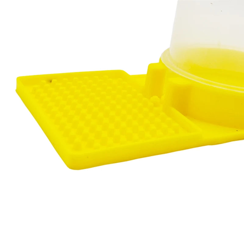 Bee Feeder &ndash; Two Models Available For Easy Watering