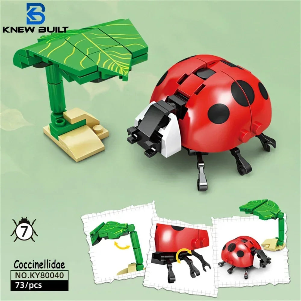 Knew Built Ladybug Blocks Set &ndash; Durable Educational Play