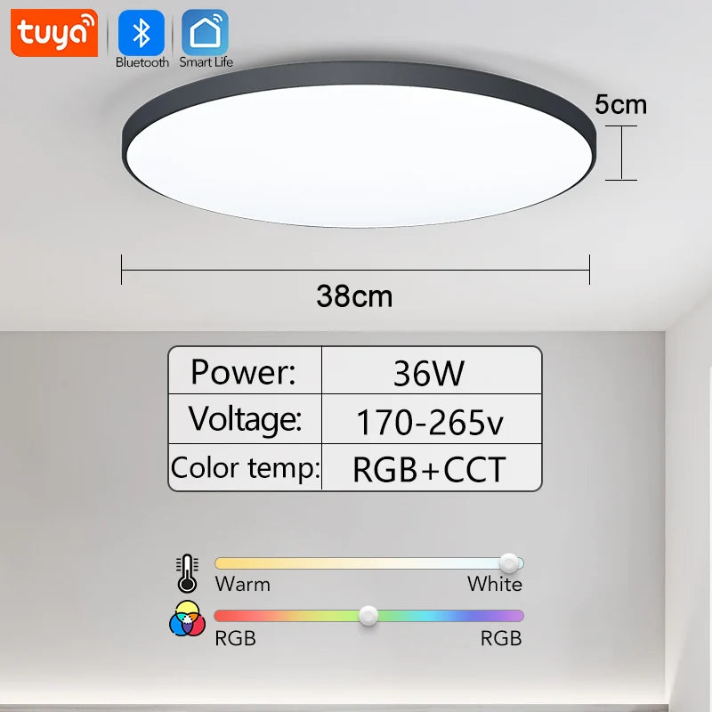 RGB Smart Ceiling Light with Built-in Speaker and TUYA Control Simple-BK-36W