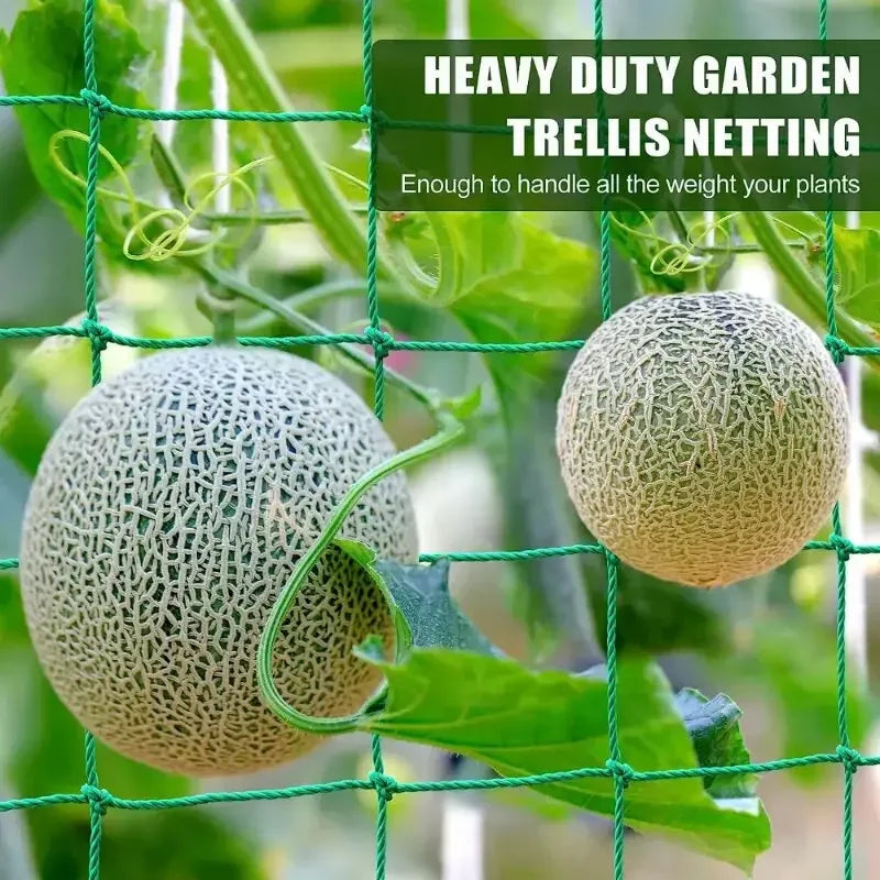 Durable Nylon Garden Netting for Climbing Plants and Vines