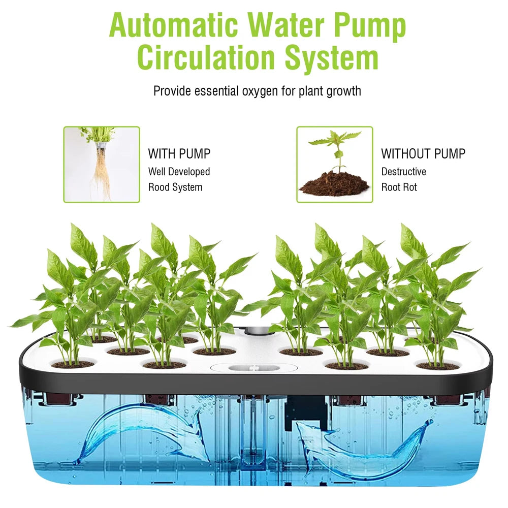 Hydroponics Growing System &ndash; LED Growth Light Self Watering