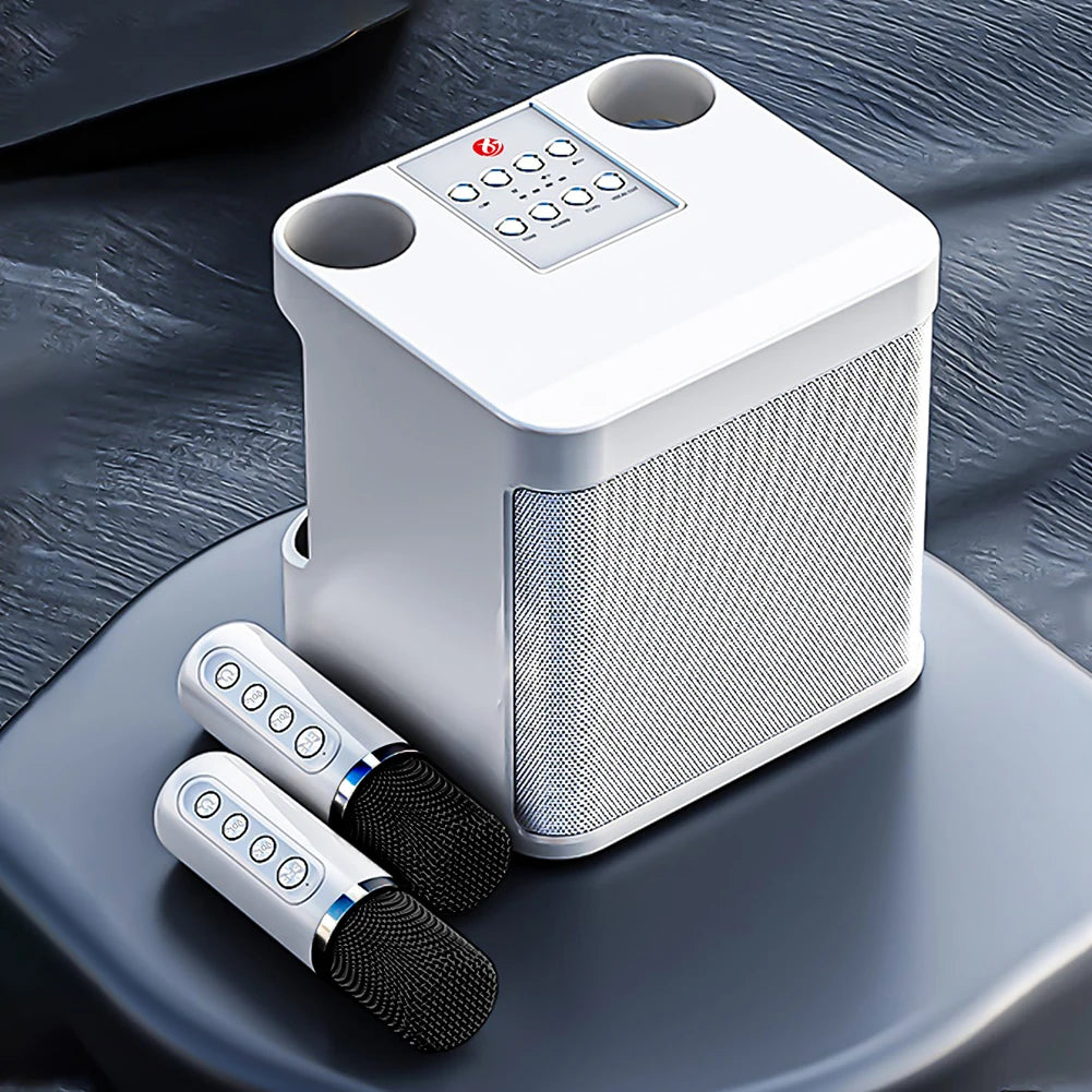 YS203 Karaoke Speaker &ndash; Ultra Clear Karaoke Sound System