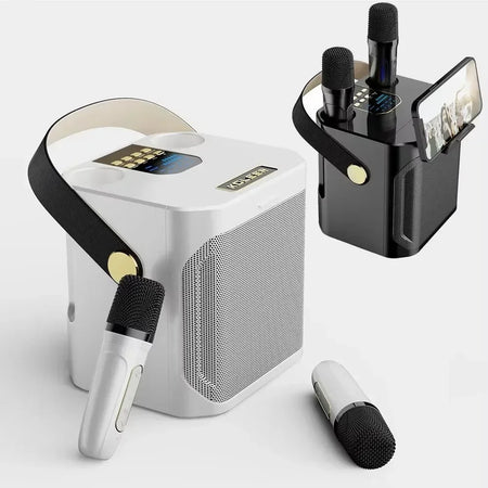High Power Karaoke Speaker &ndash; Two Microphones Included