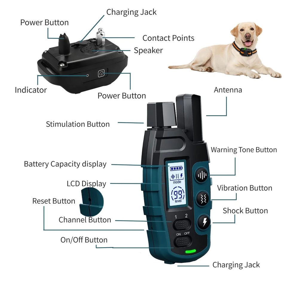 Remote Dog Training Collar IP67 Waterproof, 1000M Range, Dual Channel, Rechargeable
