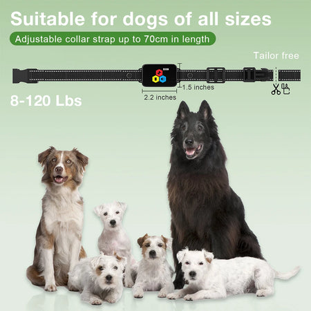 D25T Dog Training Collar &ndash; Color Screen Remote Control