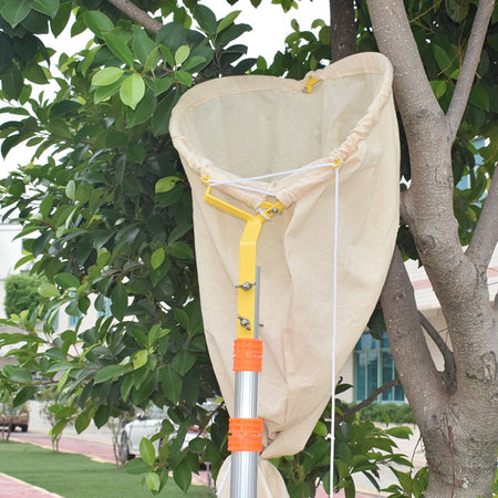 Bee Swarming Catcher Bag &ndash; Swarm Capture Tool Beekeeping Default Title