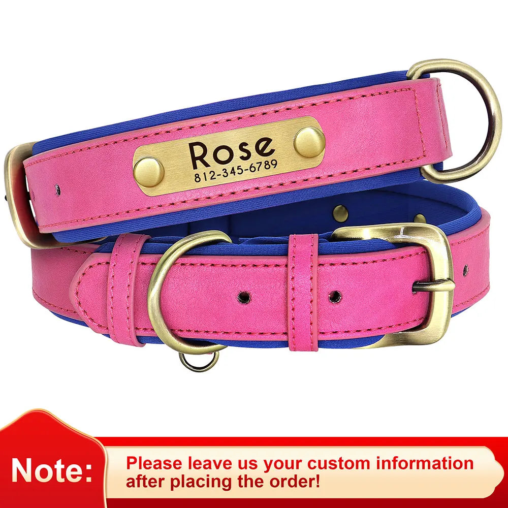 Personalised Leather ID Collar with Free Engraving for Dogs