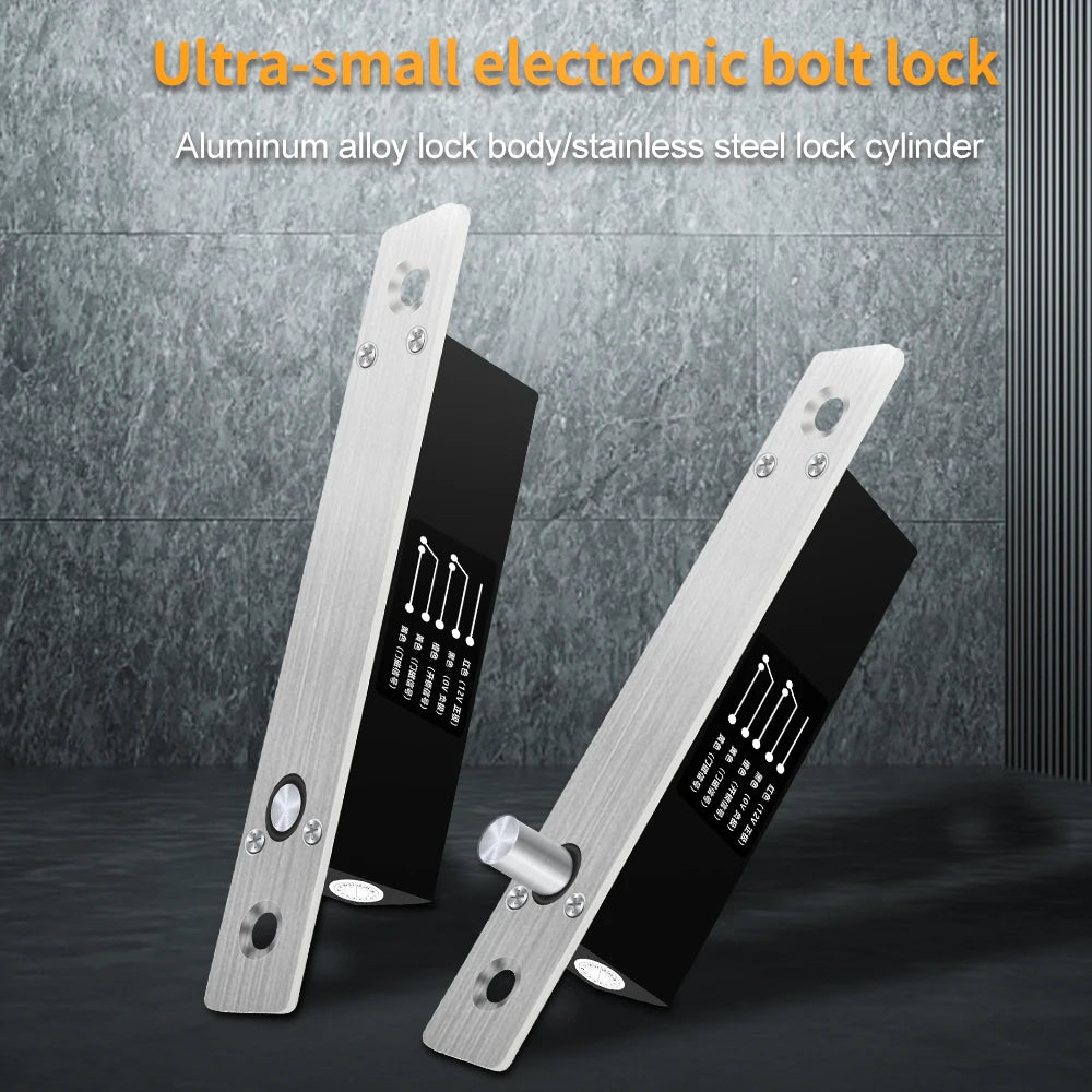 B3L-NC/B3L-NO/SM603 Electronic Bolt Lock &ndash; Dual NO NC Mode