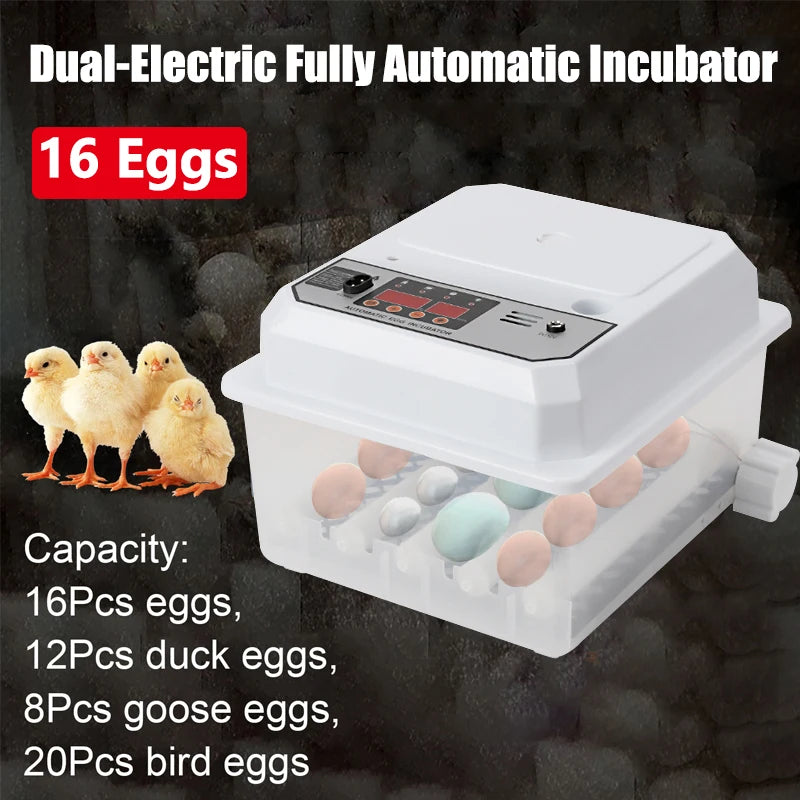 16 Eggs Dual-Electric Fully Automatic Turning Egg Incubator Household ...