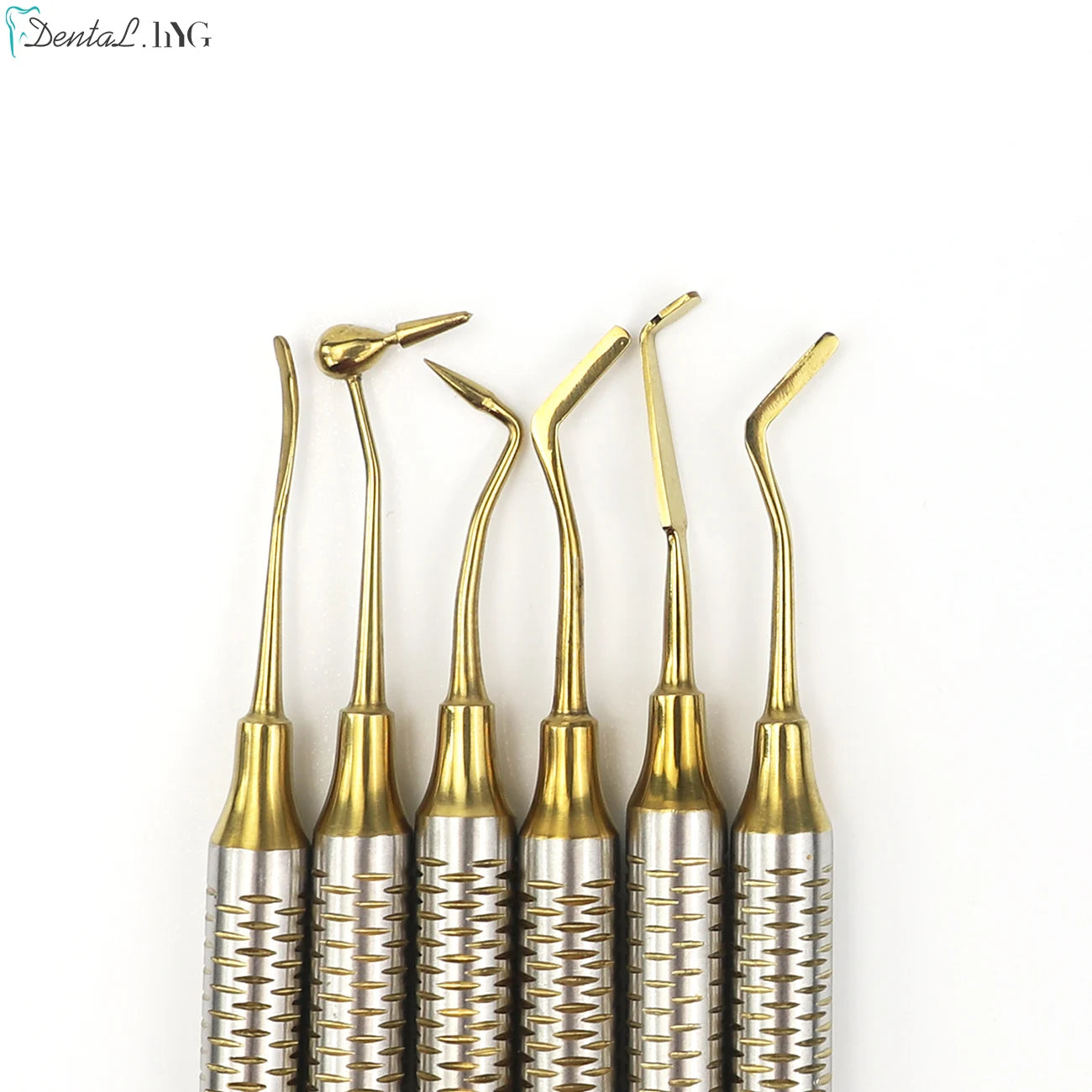 6Pcs Kit Dental Spatulas &ndash; Autoclavable Stainless Steel