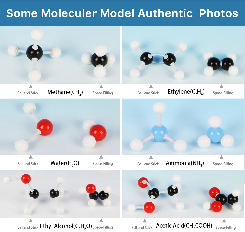Organic Chemistry Model Kit (240 PCS) - Molecular Models Kit with Atoms ...