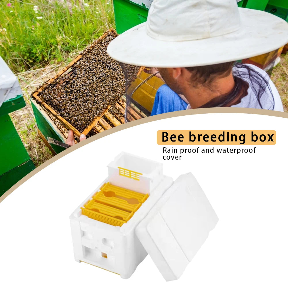 Queen Bee Rearing Beehive Box Foam &ndash; Lightweight Build