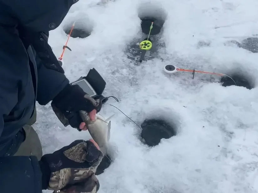 Hotsell Fish Camera 750 &ndash; High-Definition Underwater Viewing