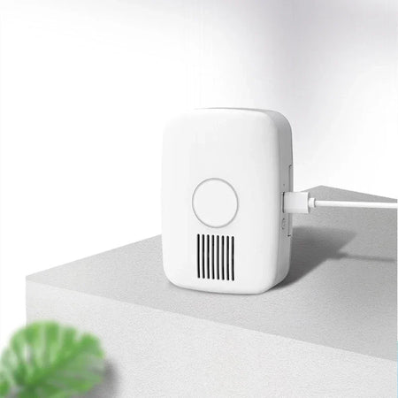 Smart UVToothbrush Sterilizer &ndash; Automatic Drying Fast