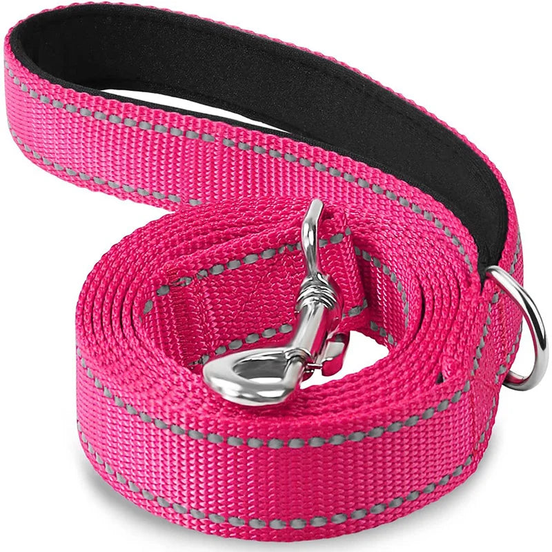 Durable Night Reflective Pet Leash and Harness for Dogs
