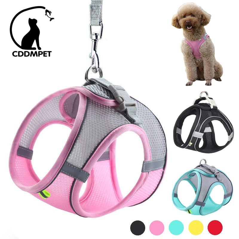 🟠 Dog Harness Leash Set for Small Dogs Adjustable Puppy Cat Harness Vest French Bulldog Chihuahua Pug Outdoor Walking Lead Leash