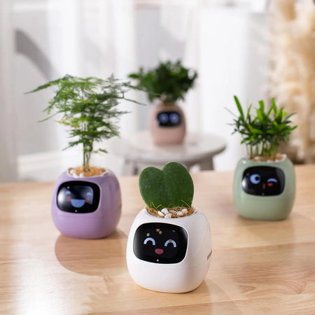 Intelligent Smart Pet Planter with AI Expressions and Sensors