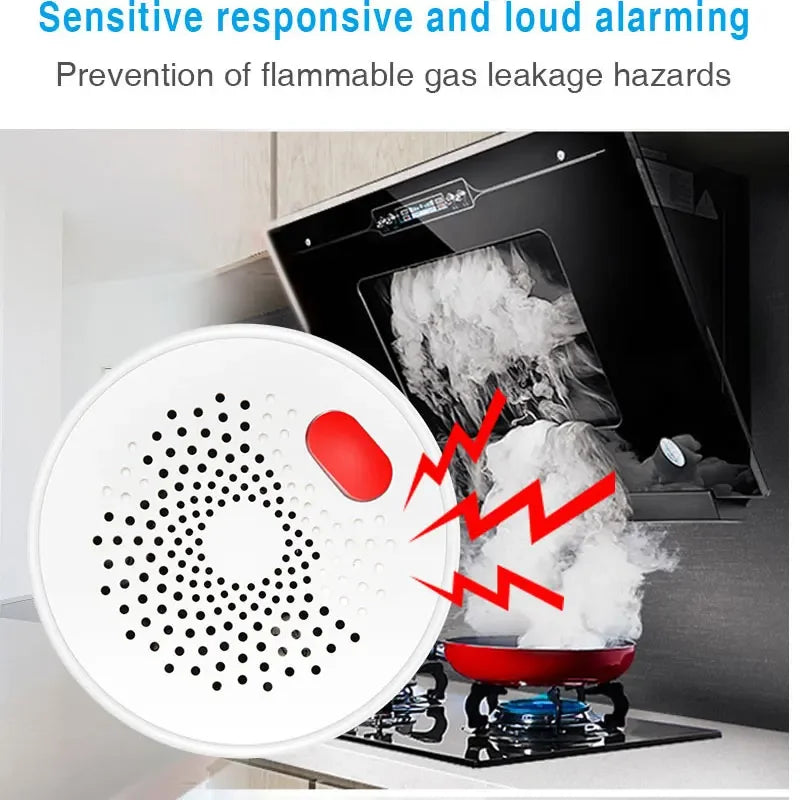 Tuya Smart WiFi Mini Gas Detector With Plug &ndash; Plug In Ready