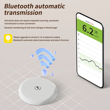 Freestyle Libre 2 &ndash; Real-Time Blood Glucose Monitoring