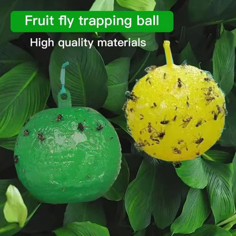 Sticky Fruit Fly Traps for Garden and Orchard Pest Control - 8cm Balls (1/6/12 Pack)