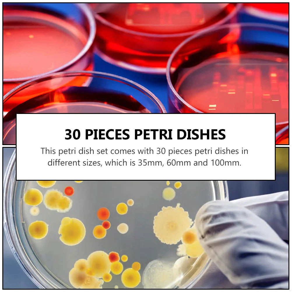 20 Pcs Transparent Plastic Petri Dishes &ndash; Eco-Friendly Reusable Culture Tools